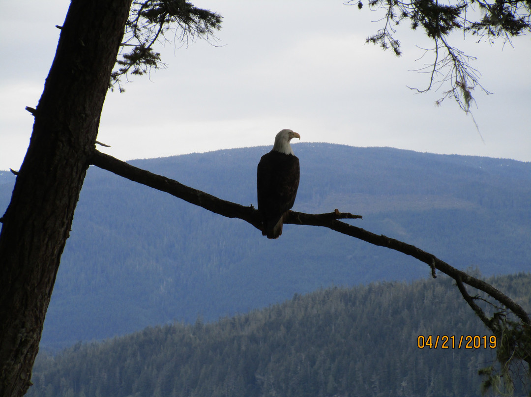 Alert Bay Lodge主图