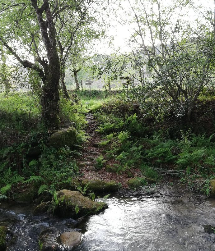 Sendero del Rio Aboal景点图片