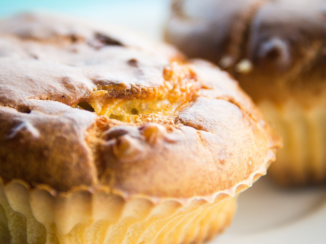 Ilha de Boipeba酒店住宿-O Ceu De Boipeba Pousada