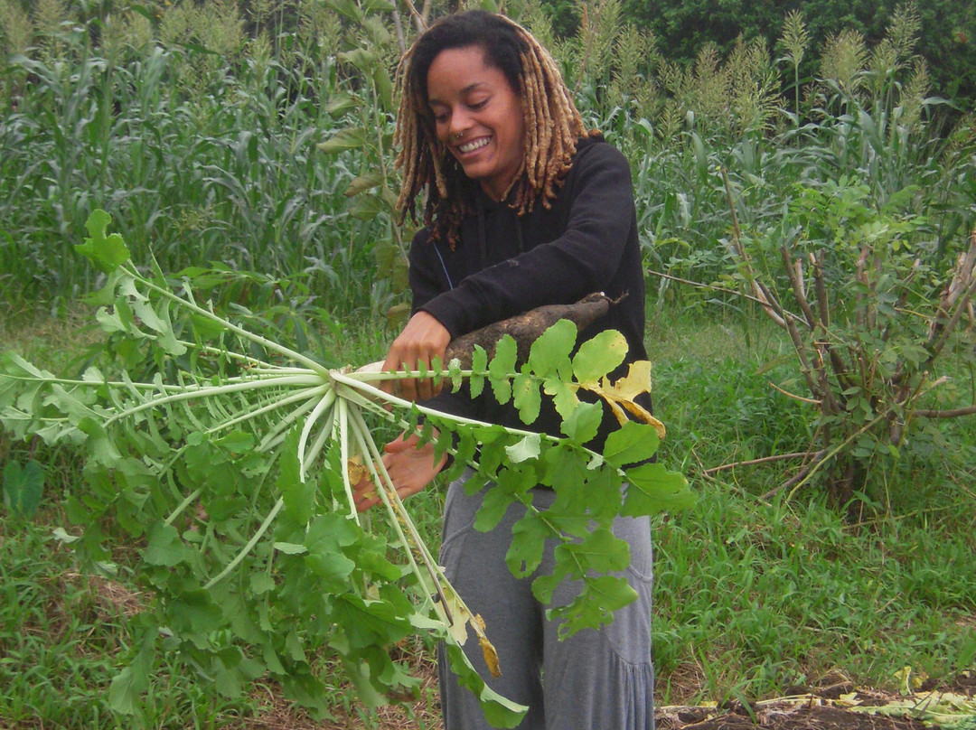 Hale Akua Garden Farm-海库必去景点