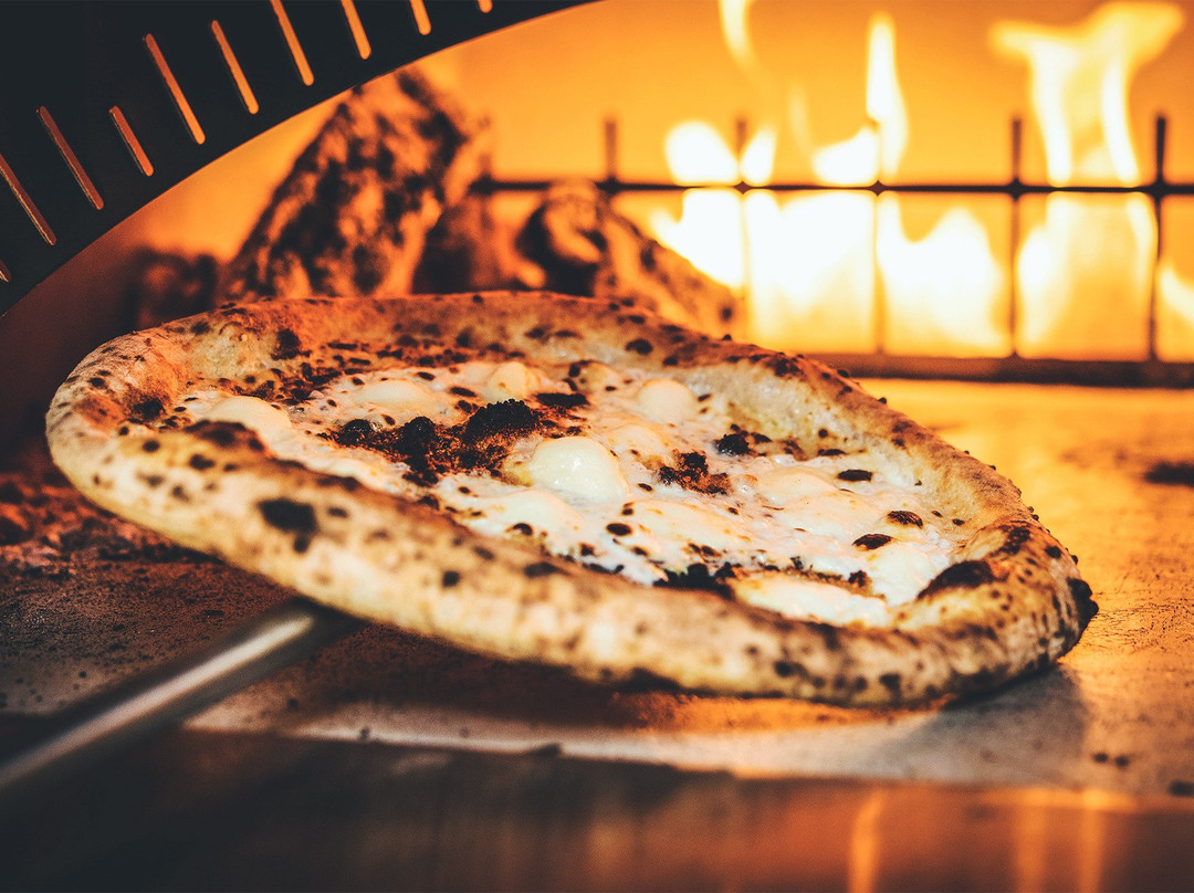 印第安纳波利斯餐馆和美食-Op Italian