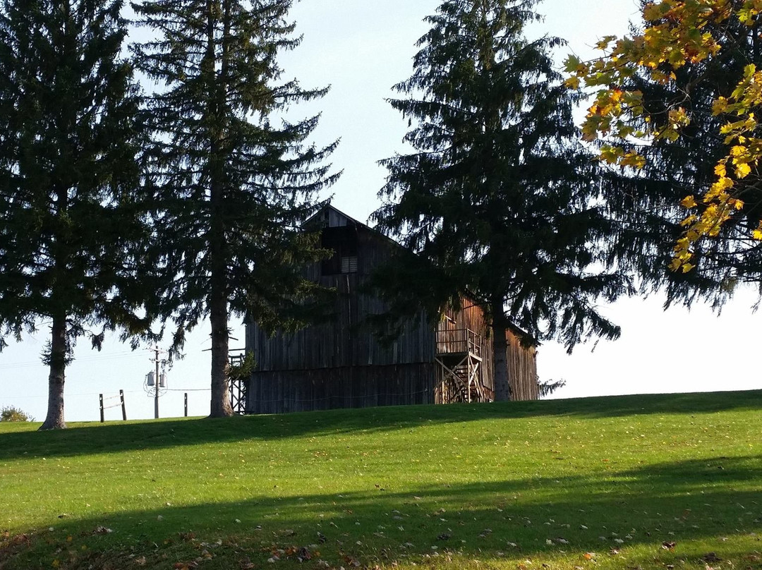 Brooke Hills Park-Wellsburg必去景点