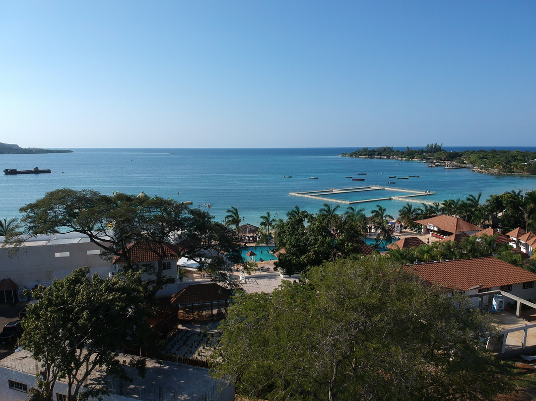 Dolphin Cove Puerto Seco Beach-发现湾必去景点