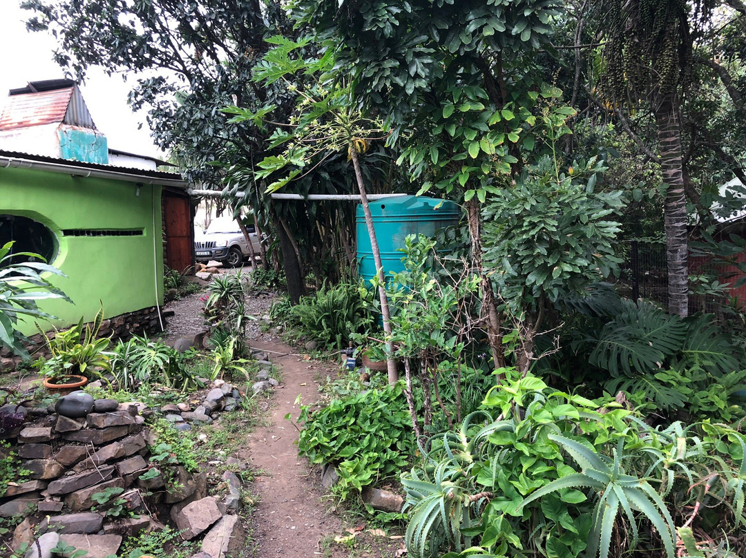 Friends Wild Coast Backpackers & Guesthouse主图