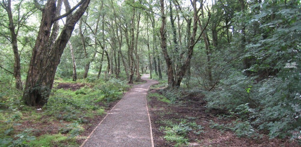 Moore Nature Reserve-沃灵顿必去景点