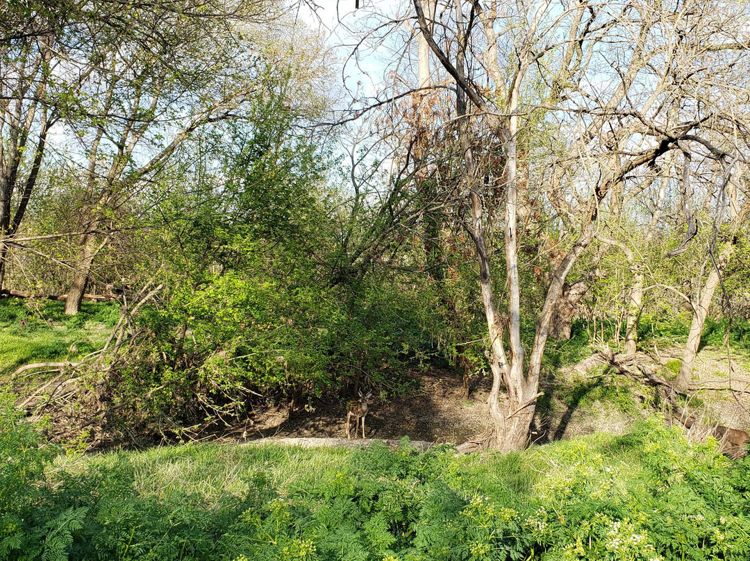 Louise Hays Park-克尔维尔必去景点