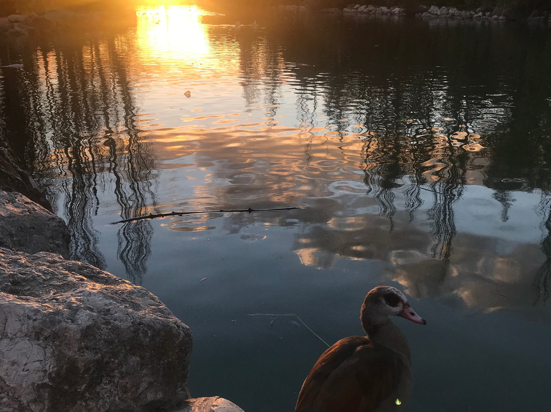 Parque Natural El Soto景点图片