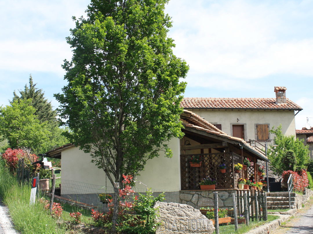Agriturismo Biagiotti主图