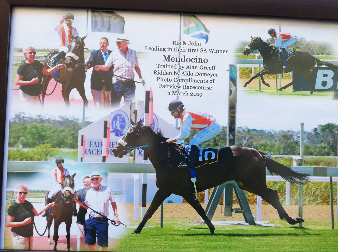 Fairview Racecourse景点图片