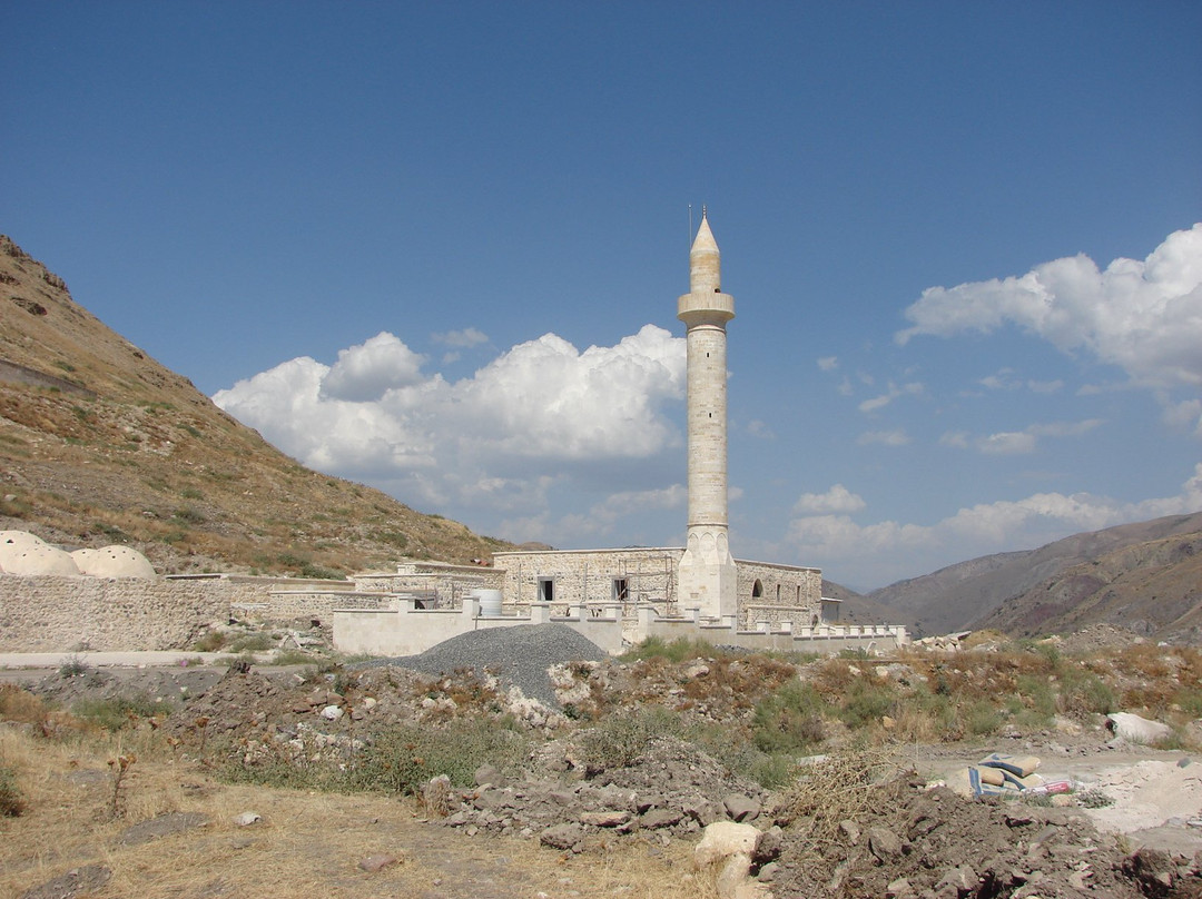 Palu Ulu Camii