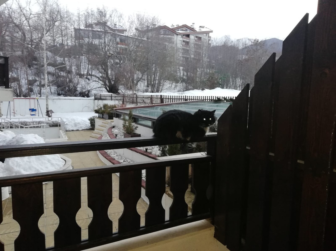 Predela 2 Apartments主图