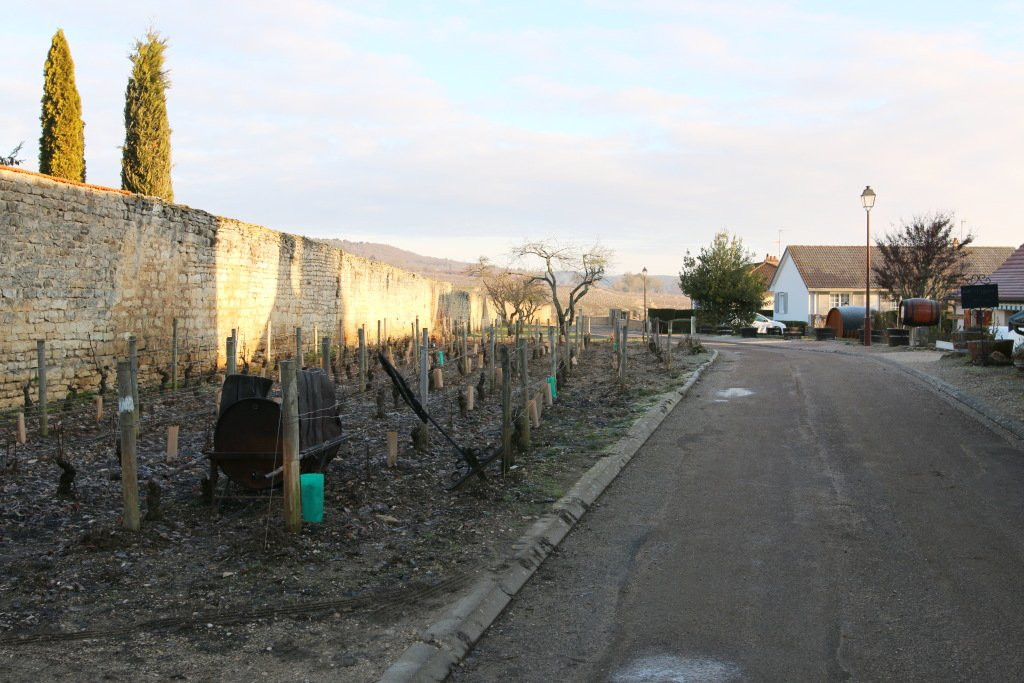 Domaine du Clos Saint-Louis景点图片