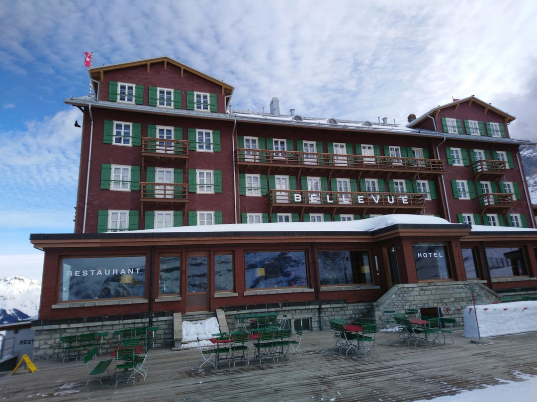Hotel Bellevue des Alpes主图