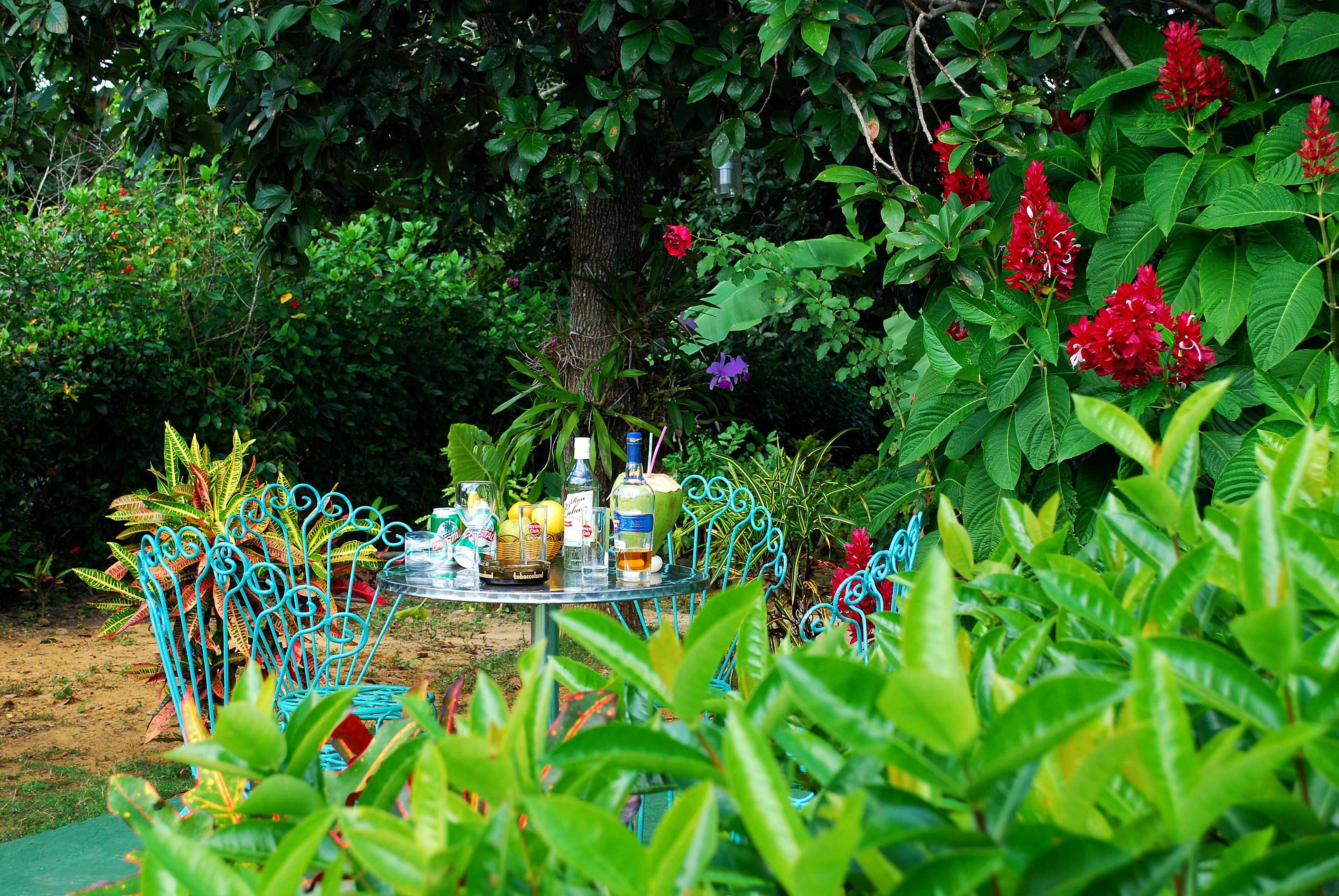 Casa Campo Alegre-官方