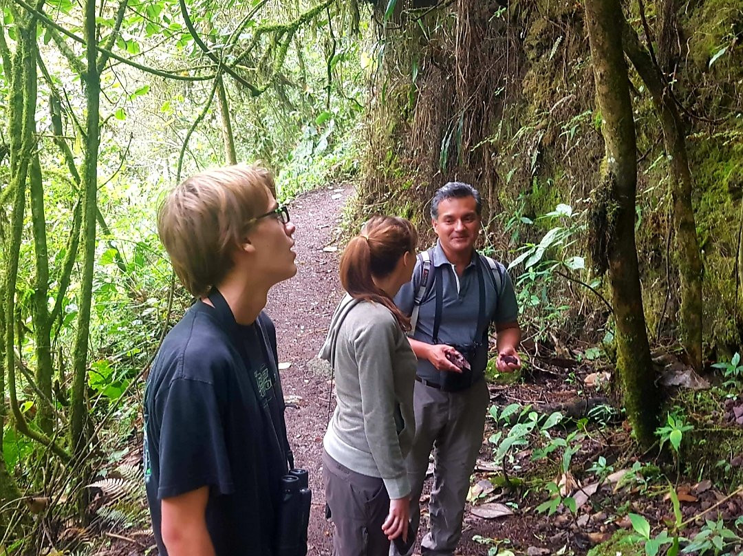 Mindo Cloud Forest Day Tours景点图片
