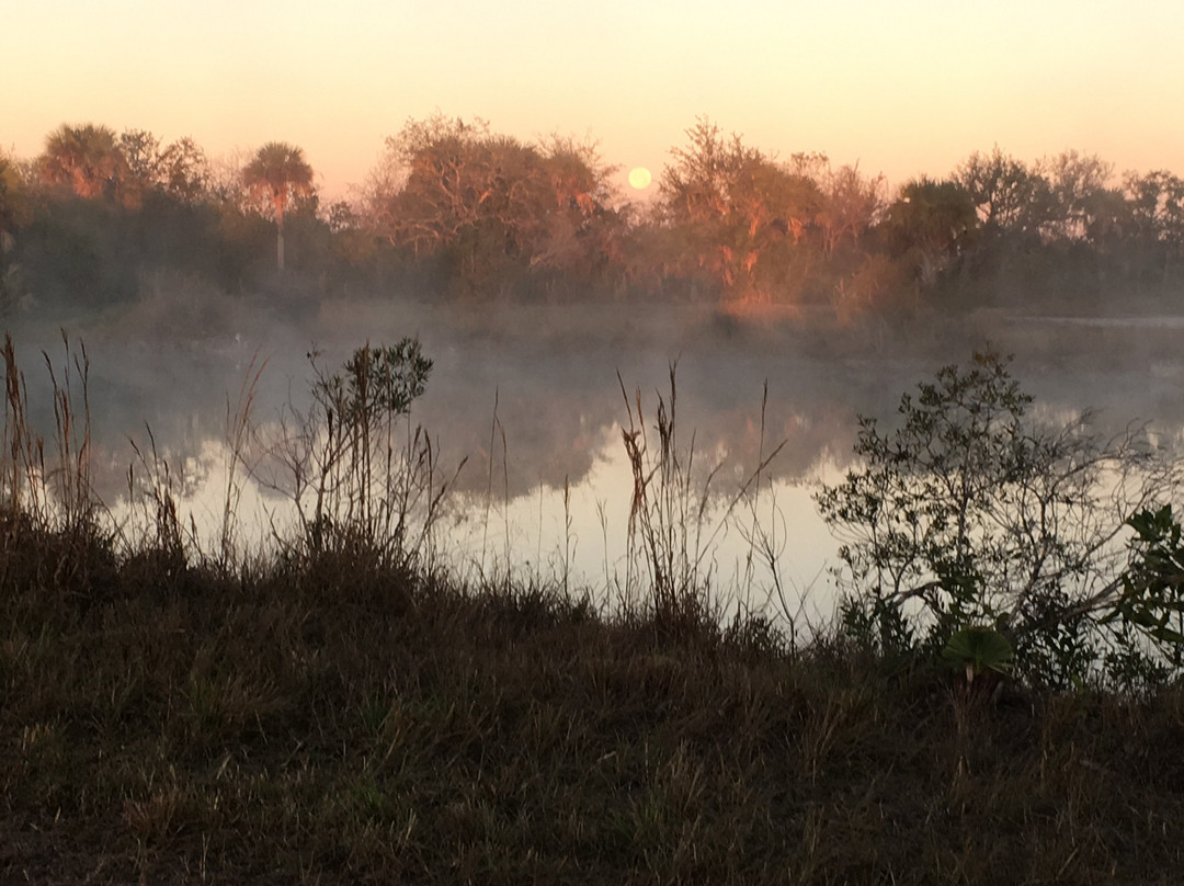 Okaloacoochee Slough State Forest-Felda必去景点