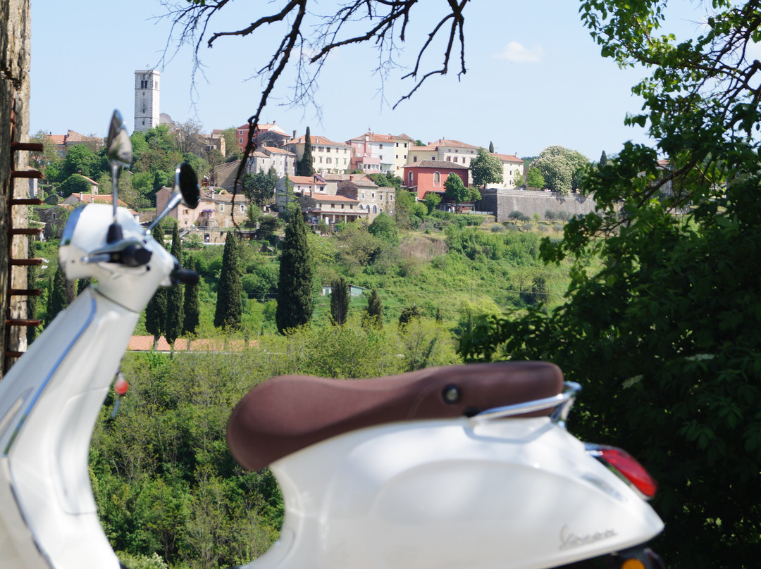 Vespa Tour Istria - Montona Tours-Motovun必去景点