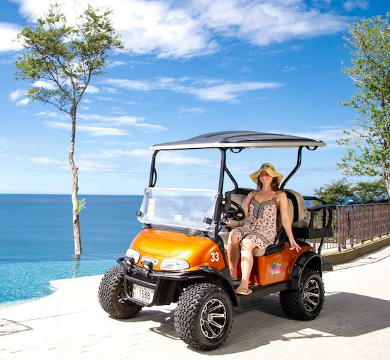 Flamingo Beach Golf Cart Rentals景点图片