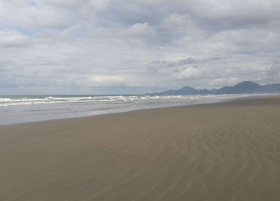 Tapirema Beach景点图片