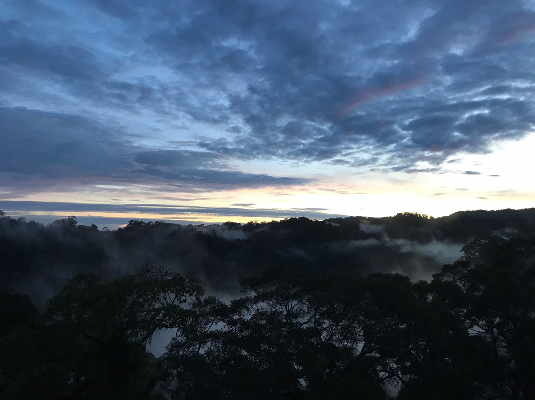 Ulu Ulu National Park Resort景点图片