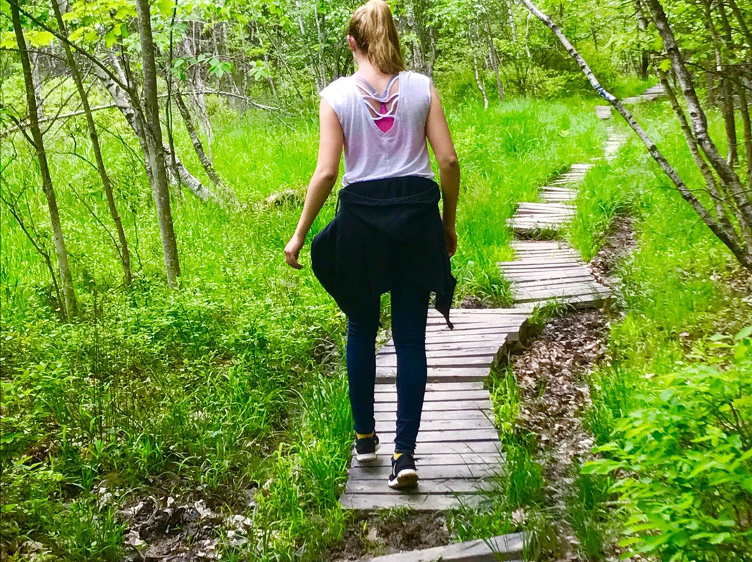 Binghamton University Nature Preserve-Vestal必去景点