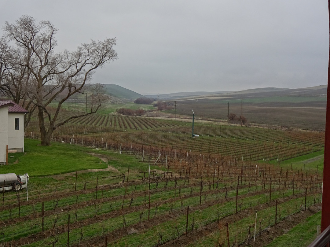 TERO Estates & Flying Trout Wines景点图片