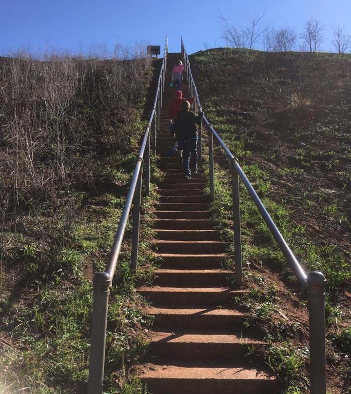 Kolomoki Mounds Historic Park-Blakely必去景点