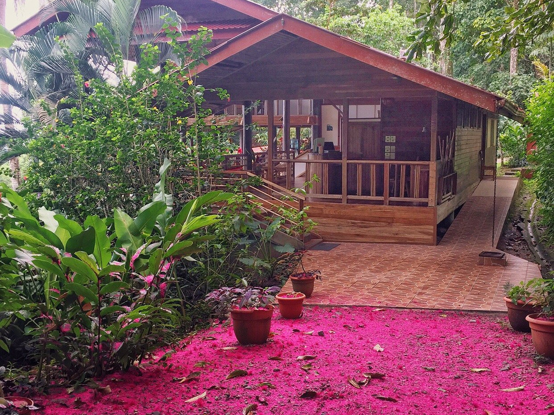 Samasati Nature Retreat主图