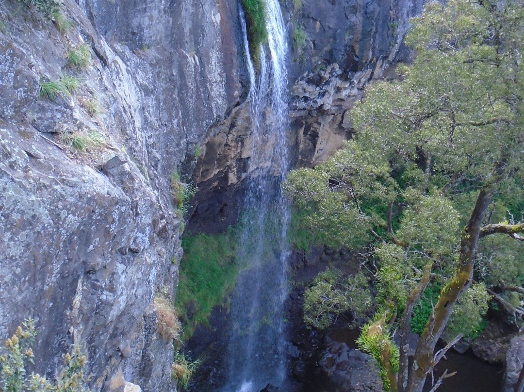 Preston Falls-Ulverstone必去景点