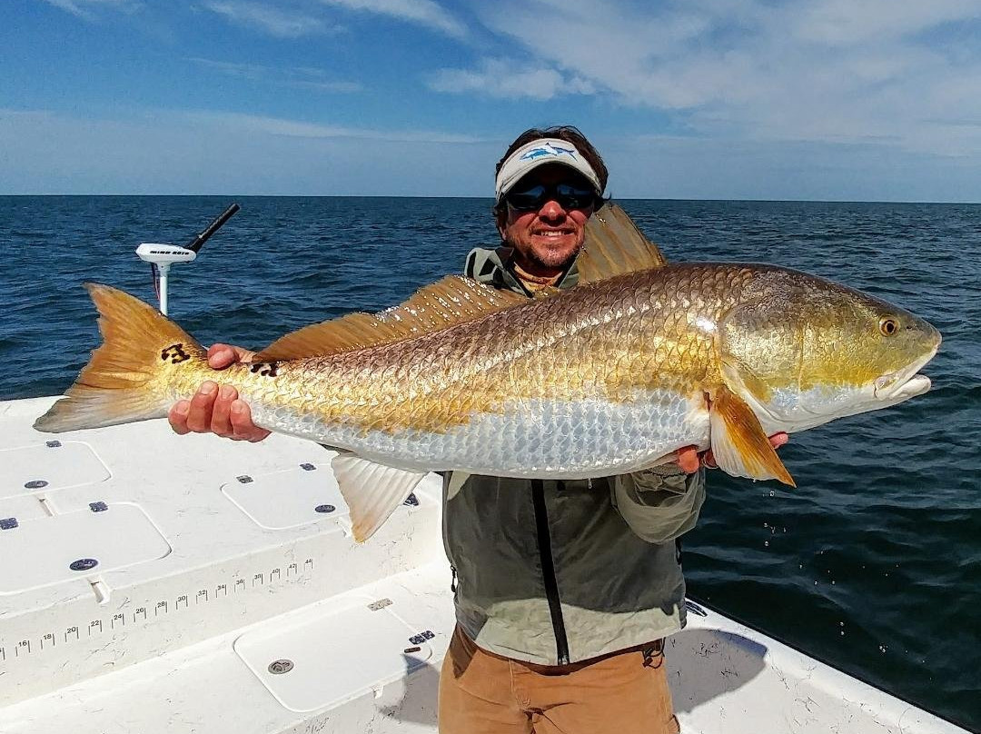 Reel Florida Fishing Charters-克里斯特尔里弗必去景点