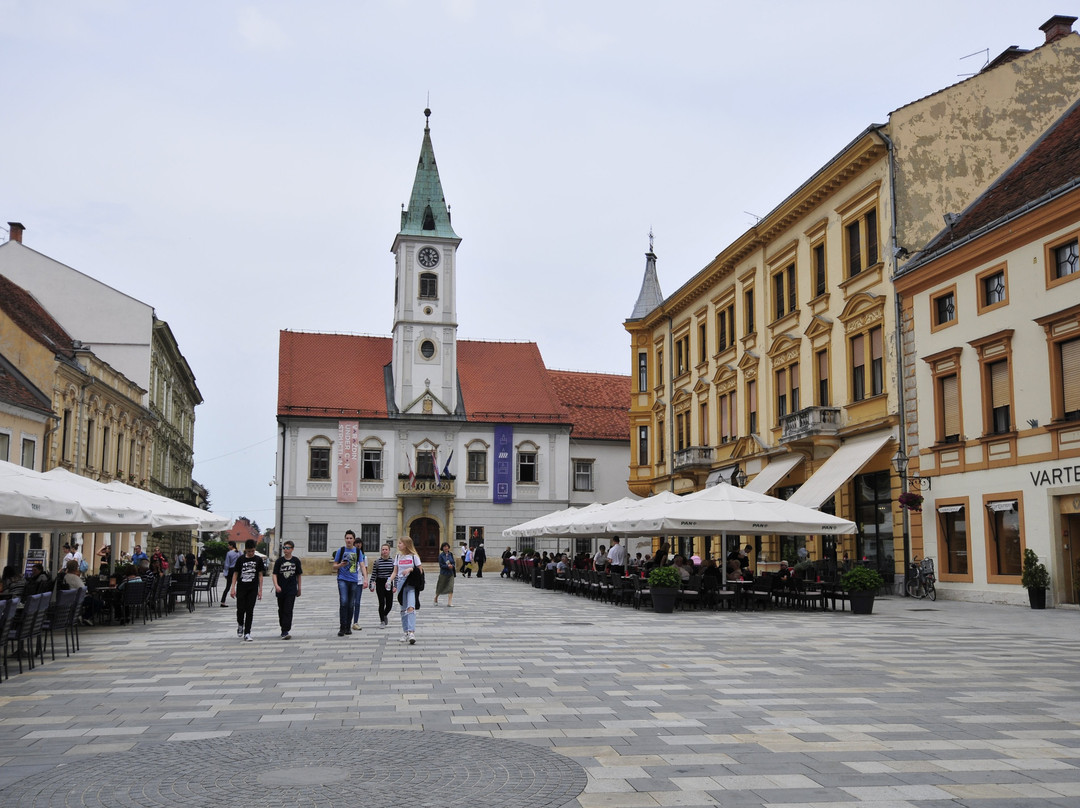 Town Hall Varazdin景点图片