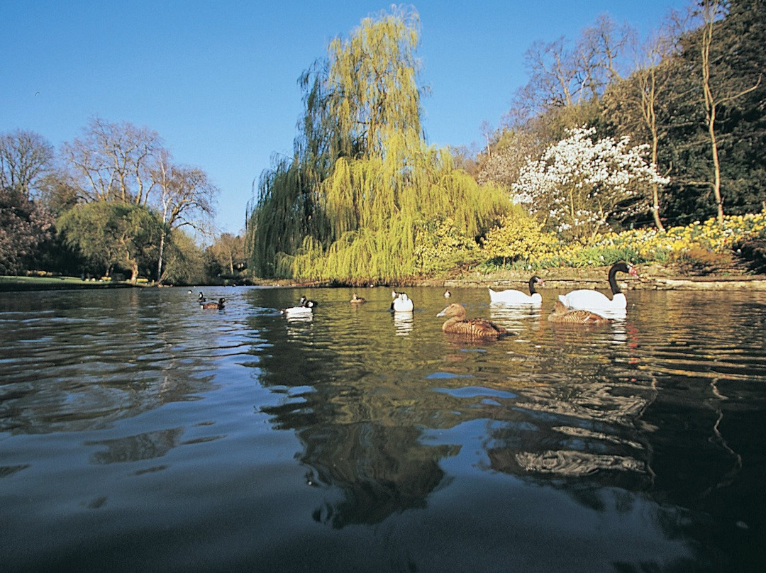 Busbridge Lakes景点图片
