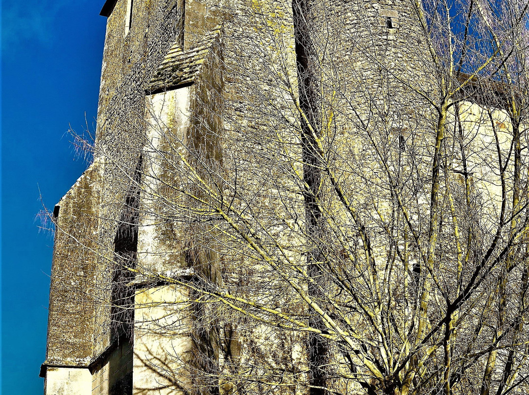Eglise Saint-Etienne-Celle-Levescault必去景点