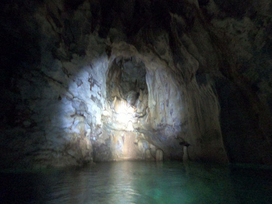 Turtle Dive Center-拉斯特拉纳斯必去景点