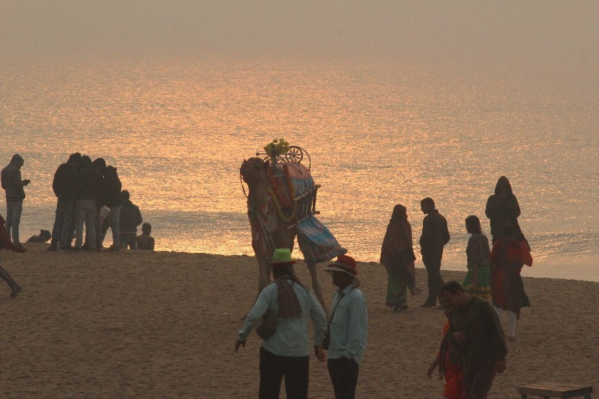 Swargadwar Sea Beach, Puri, Odisha景点图片