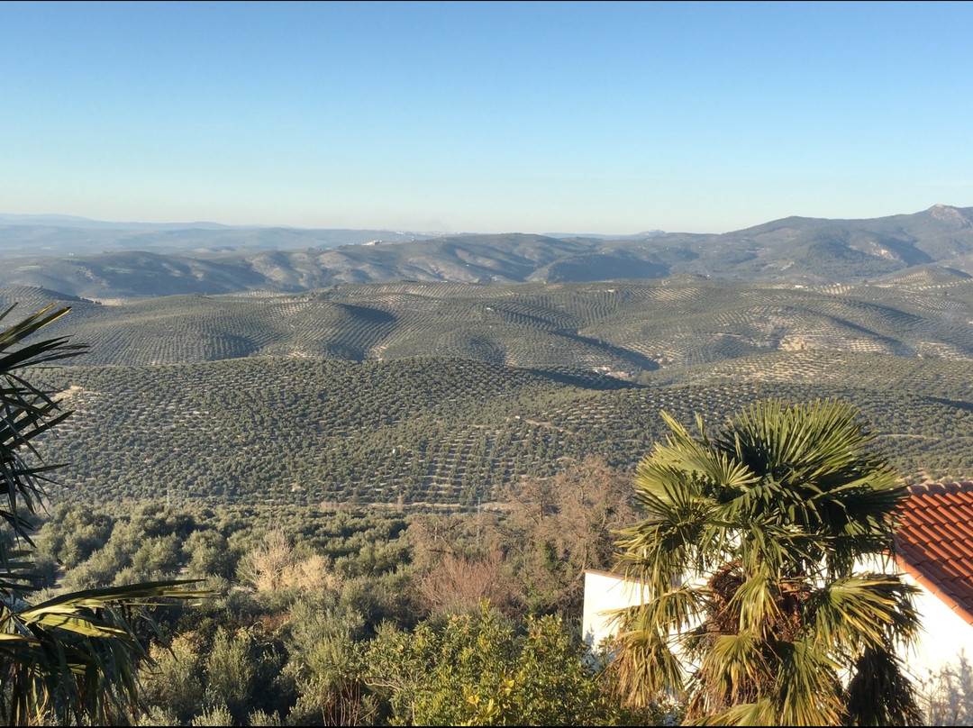 Hotel La Finca Mercedes主图