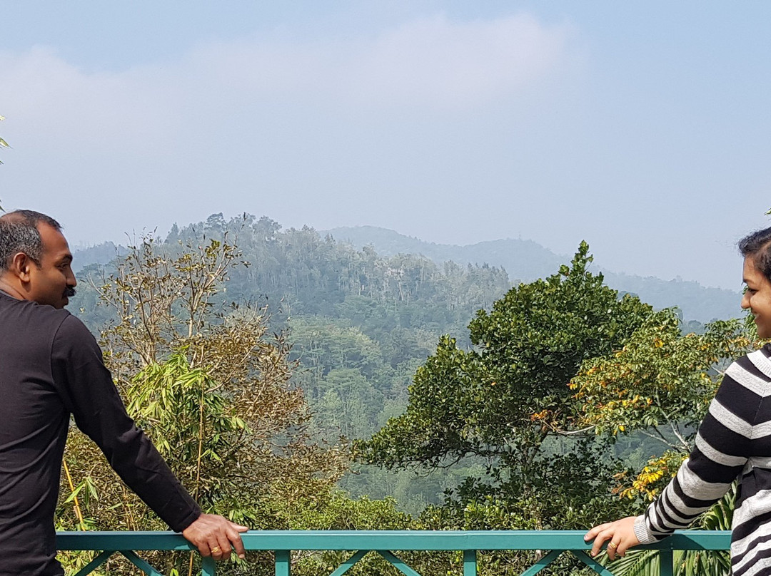 Forest Canopy Thekkady主图