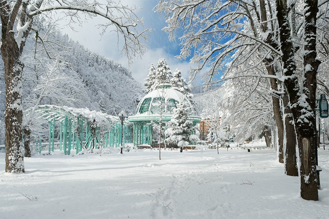 Borjomi Central Park景点图片