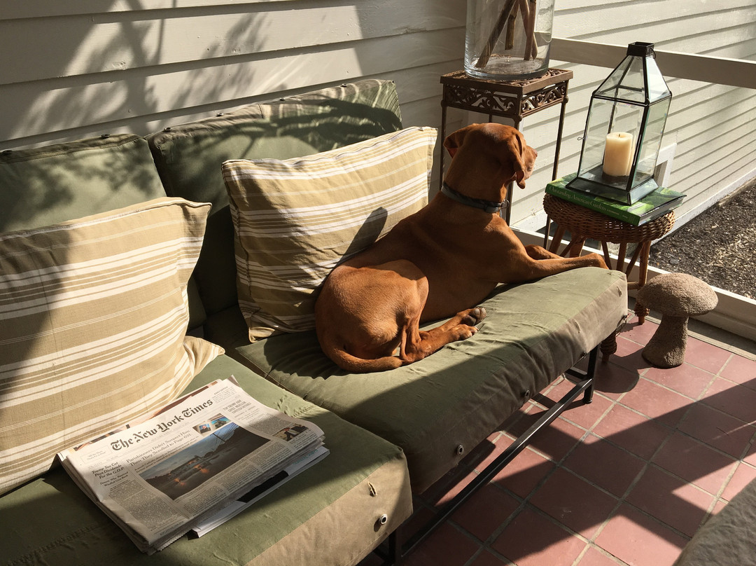 Inn at Kenmore Hall主图