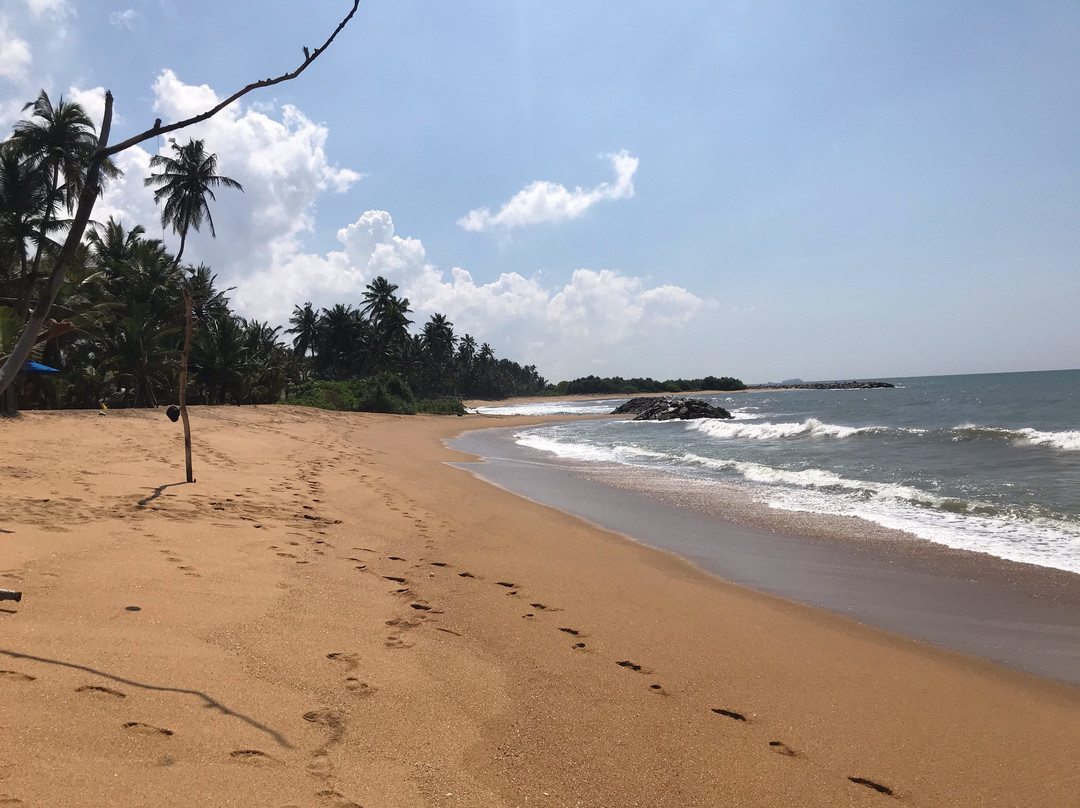 Hotel Coconut Bay主图