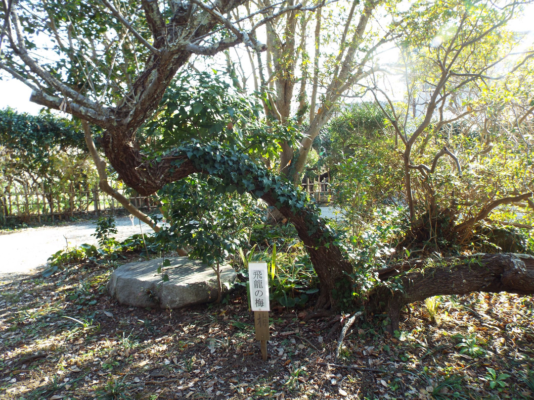 Soho Tokutomi Museum-二宫町必去景点
