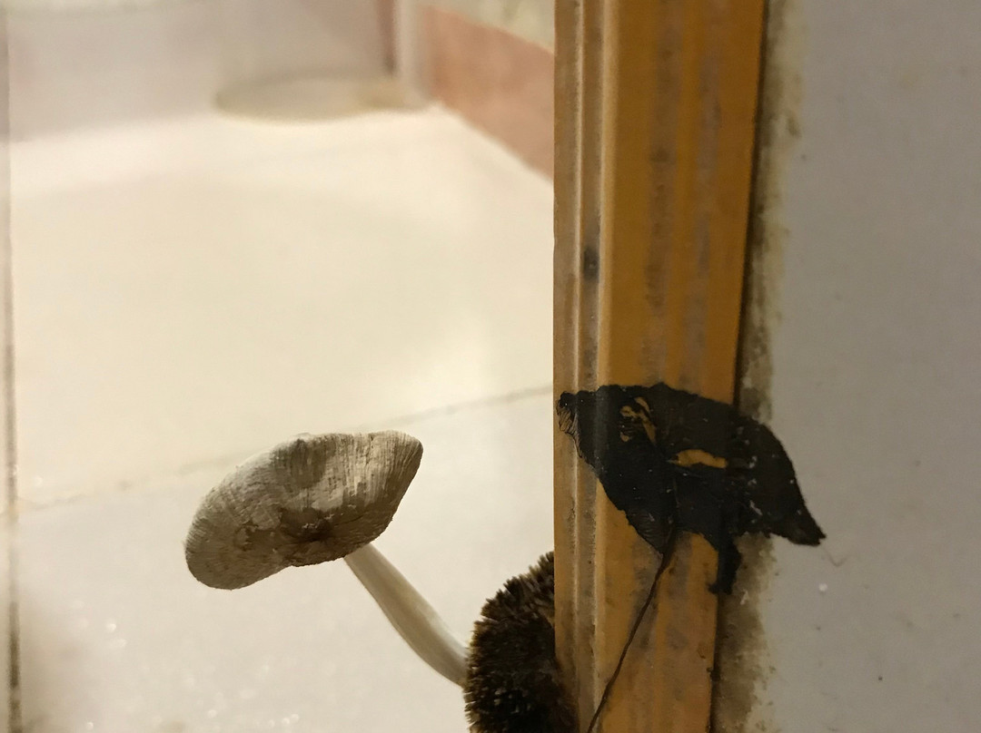 银沙滩度假酒店主图