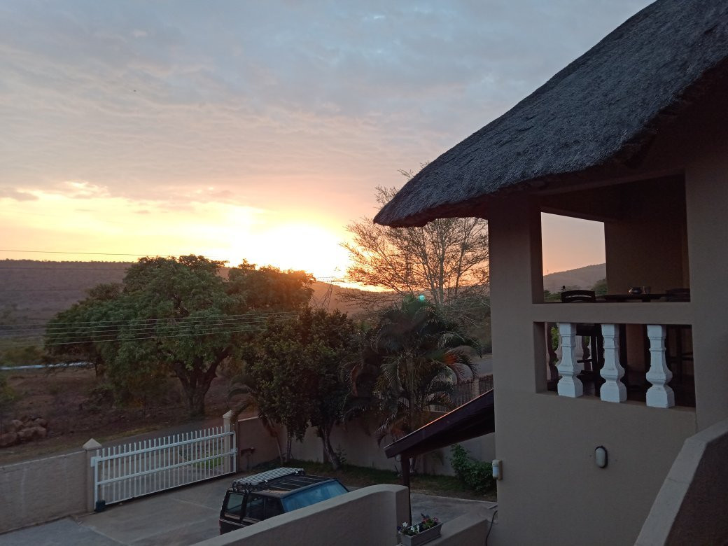 Pumba's Africa主图