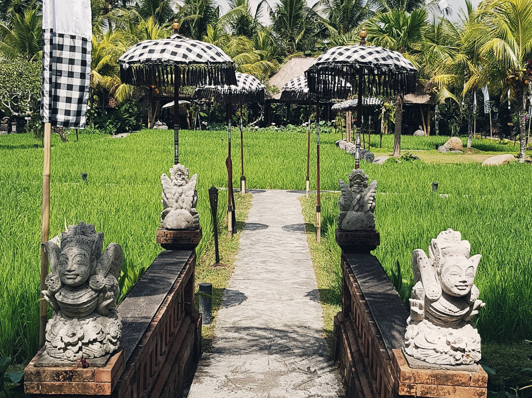 湿地边缘温泉别墅酒店主图