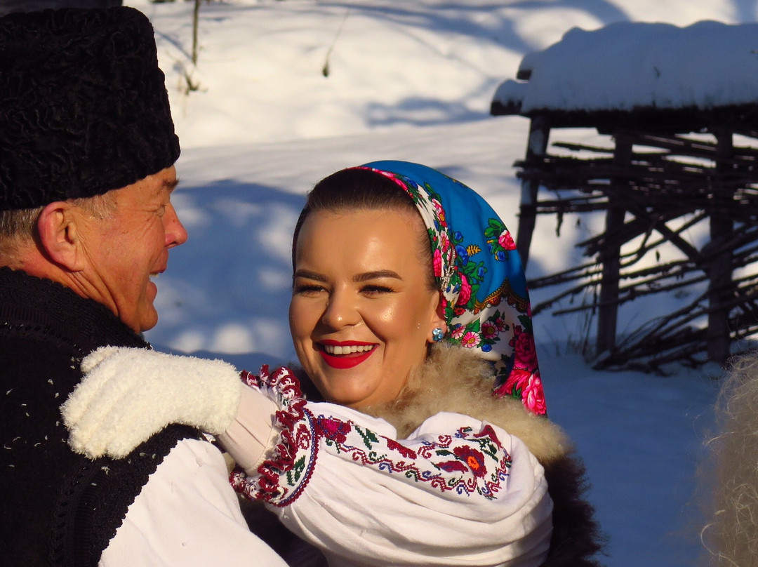 Negresti-Oas旅游攻略图片