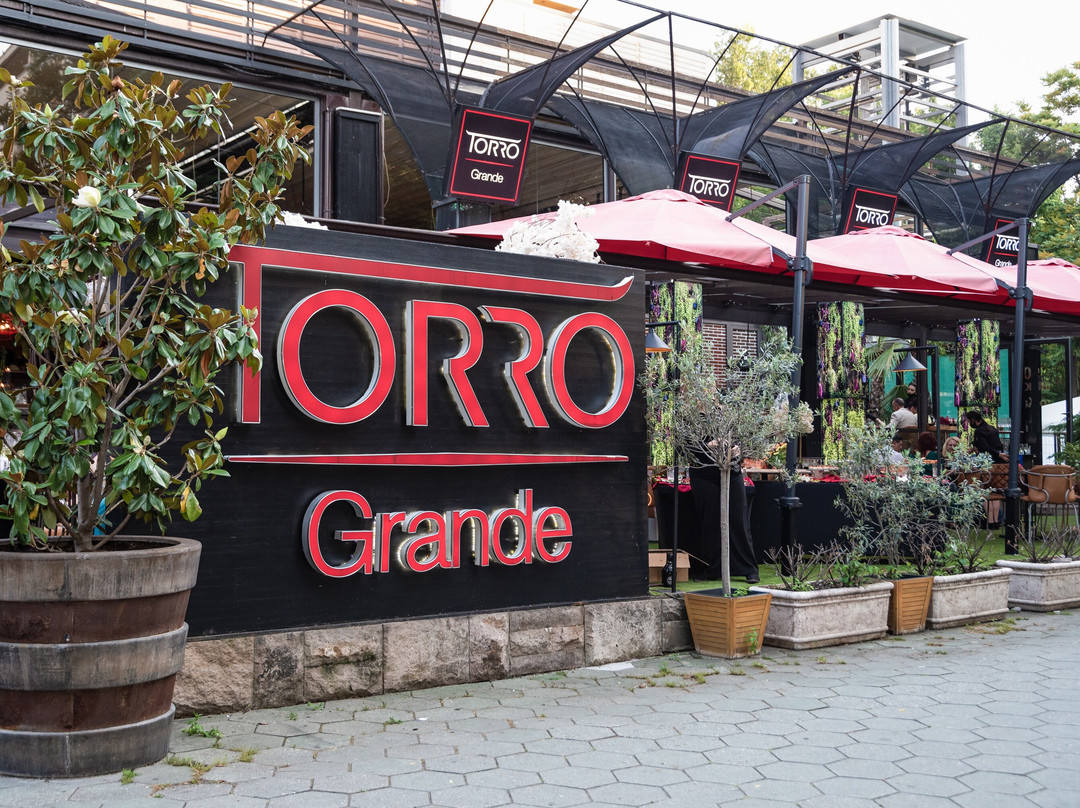 普罗夫迪夫餐馆和美食-Torro Grande
