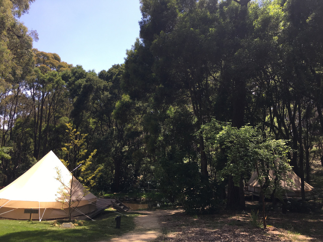 The Garden of St Erth-Blackwood必去景点