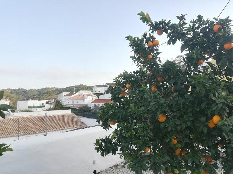 ALGARVE TREASURES - Tours & Experiences-法罗必去景点