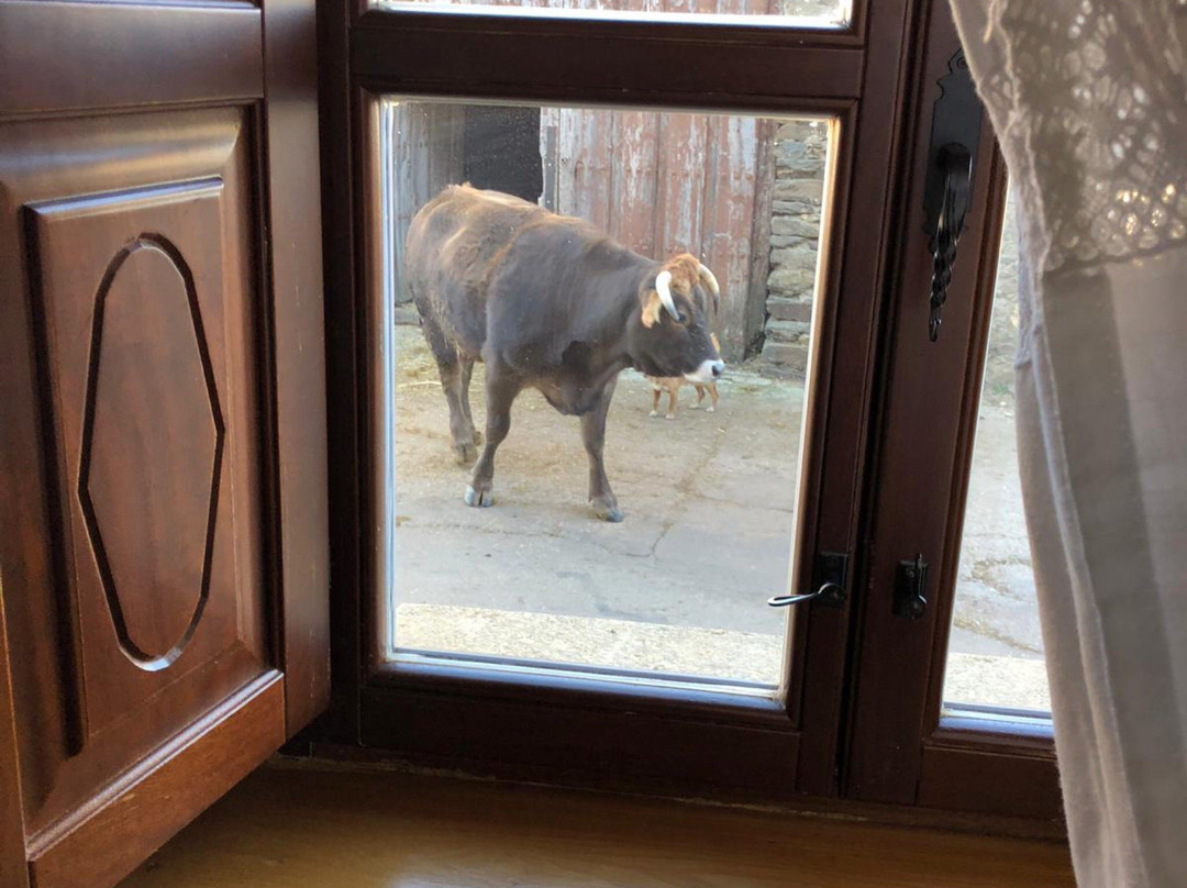 Grisuela旅游攻略图片