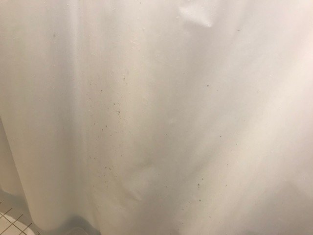 Residence Inn Largo Medical Center Drive-浴室